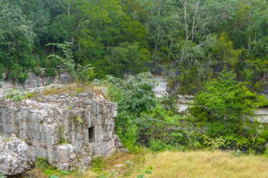 Kutsal Cenote. Chichen Itza arkeolojik alanı. Antik Maya uygarlığı. Seyahat fotoğrafı ya da duvar kağıdı. Yucatan. Meksika.