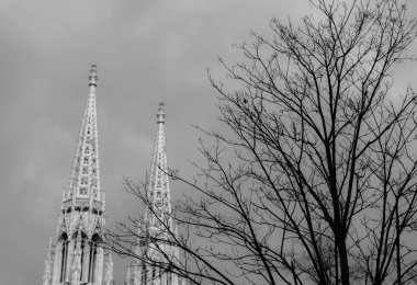 Votivkirche (Votivkirche) Wien, Viyana, Avusturya 'da bulunan neo-gotik bir kilise. Avrupa. Kule manzaralı Siyah beyaz fotoğraf.