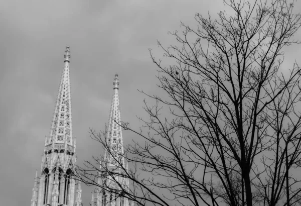 Votivkirche (Votivkirche) Wien, Viyana, Avusturya 'da bulunan neo-gotik bir kilise. Avrupa. Kule manzaralı Siyah beyaz fotoğraf.