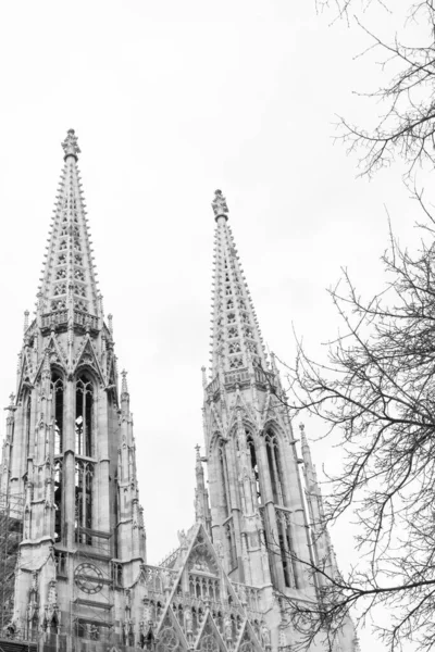 Votivkirche (Votivkirche) Wien, Viyana, Avusturya 'da bulunan neo-gotik bir kilise. Avrupa. Kule manzaralı Siyah beyaz fotoğraf.
