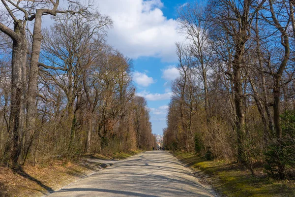 Schonbrunn Sarayı parkına bakın. Açık hava fotoğrafçılığı. Viyana. Sosis. Avusturya. Avrupa.