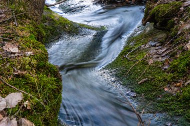 Baharda akarsu. İskandinav doğasının fotoğrafı. İsveç Ormanı. 