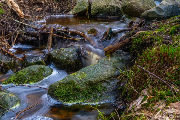 Arroyo Primavera Foto Naturaleza Escandinava Bosque Sueco —  Fotos de Stock