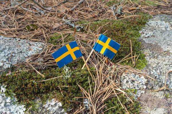 Svenska Flaggor Skandinavisk Naturbakgrund Bild Vild Natur Med Nationell Symbol — Stockfoto
