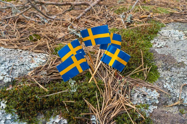 Skandinav Doğasında Sveç Bayrakları Ulusal Sembollü Vahşi Doğa Fotoğrafı — Stok fotoğraf