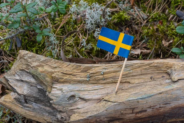 Svenska Flaggor Skandinavisk Naturbakgrund Bild Vild Natur Med Nationell Symbol — Stockfoto