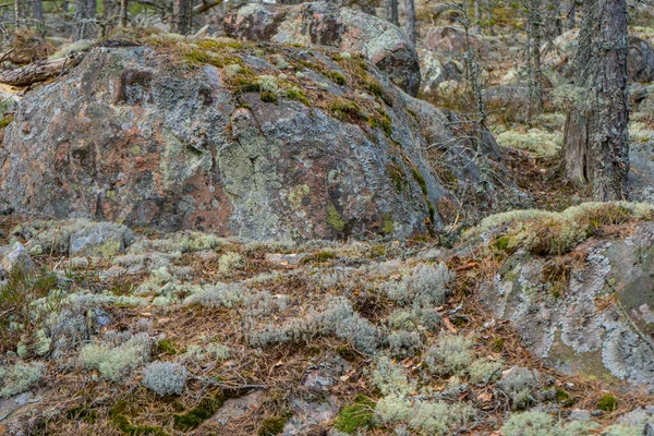 Старі Камені Скандинавії Photo Swedish Nature — стокове фото