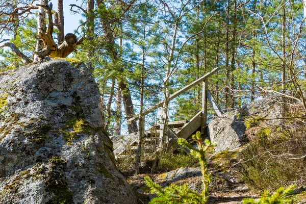 Скандинавський Ліс Навесні Photo Swedish Nature — стокове фото