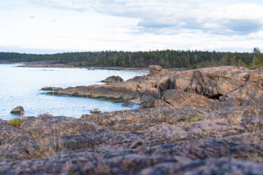 Baltık Denizi 'nin kayalık kıyısı (Ostersjon). İskandinav doğasının fotoğrafı. İsveç kıyısı.