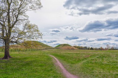 Royal Mounds (Kungshogarna) Gamla Uppsala 'da bulunan üç büyük el arabası. Stockholm yakınlarında İsveç 'te arkeolojik alan.