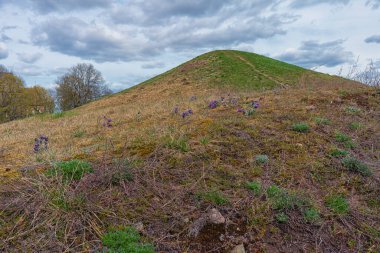 Royal Mounds (Kungshogarna) Gamla Uppsala 'da bulunan üç büyük el arabası. Stockholm yakınlarında İsveç 'te arkeolojik alan.