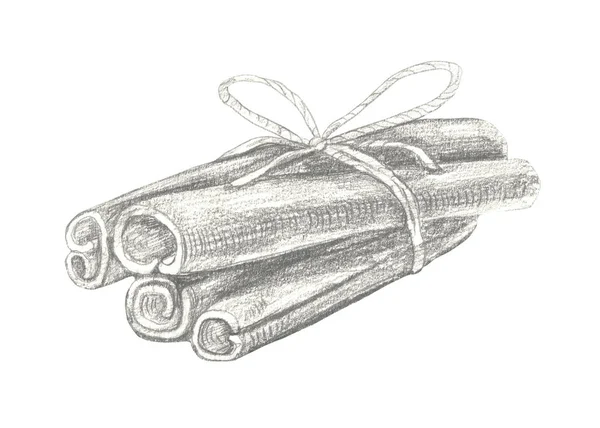 Ilustração de canela desenhada à mão isolada sobre fundo branco . — Fotografia de Stock