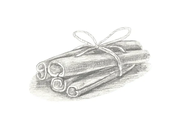 Ilustração de canela desenhada à mão isolada sobre fundo branco . — Fotografia de Stock