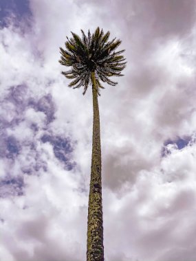 Kolombiya 'nın Zipaquira kasabası