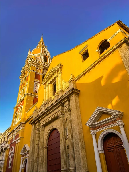 Cartagenas gator i Colombia — Stockfoto