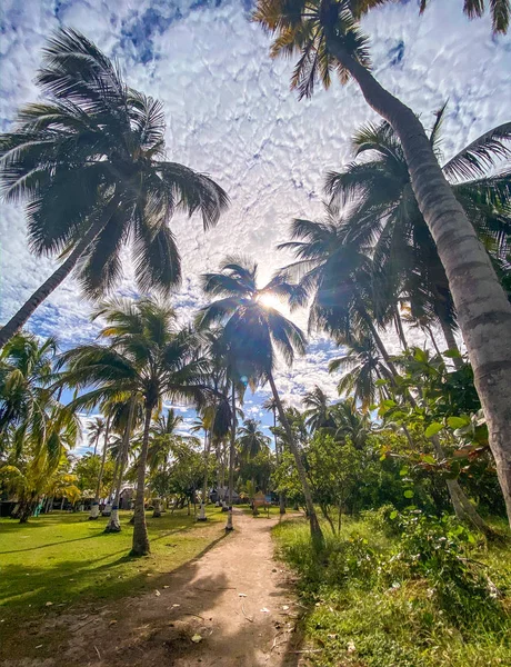Tintinpan ve Isla Mucura, San Bernardo Adaları, Kolombiya Karayip Sahili — Stok fotoğraf