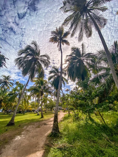 Tintinpan ve Isla Mucura, San Bernardo Adaları, Kolombiya Karayip Sahili — Stok fotoğraf