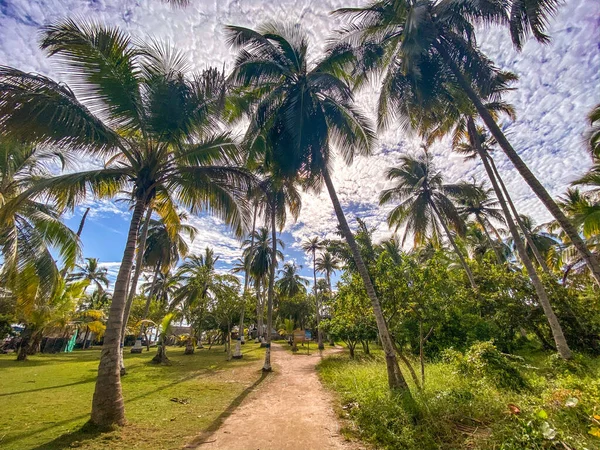 Tintinpan ve Isla Mucura, San Bernardo Adaları, Kolombiya Karayip Sahili — Stok fotoğraf