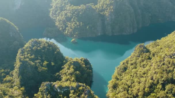 Coron, Palawan, Filipinler 'deki Barakuda Gölü' nün havadan görünüşü — Stok video