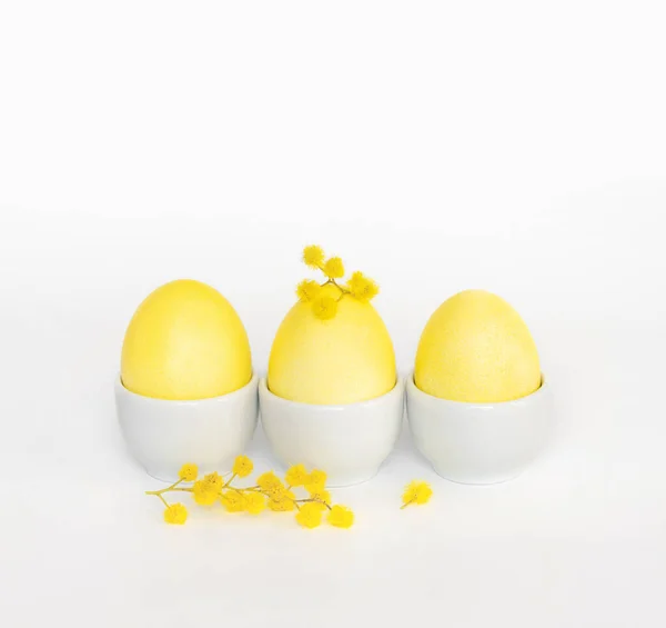 Easter composition with yellow eggs in stands and yellow acacia flowers on a white background. Copy space. Side view.
