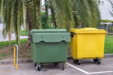 bir palmiye ağacının altında sokakta Çöp Konteyneri