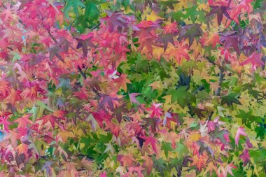 bir ağaç yakın çekim yaprak