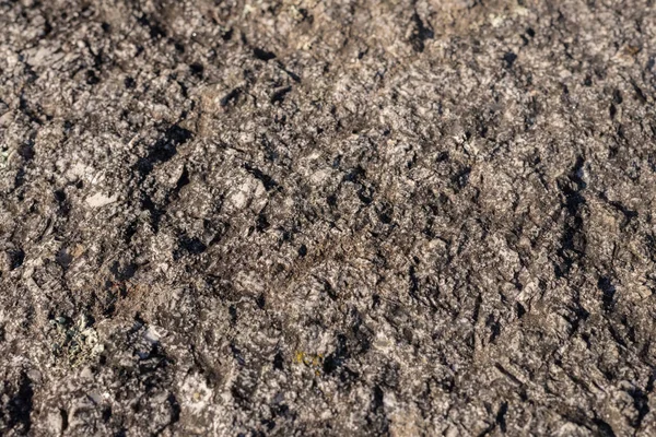 Stone texture closeup — Stock Photo, Image