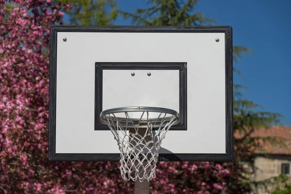 Bouclier de basket dans la rue — Photo