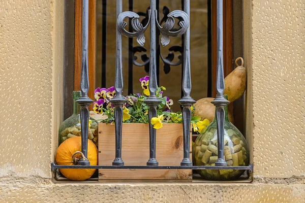 Flores y calabaza en una ventana con una celosía de una casa vieja — Foto de Stock