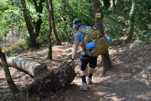 Turist med en ryggsäck på en skogsstig — Stockfoto