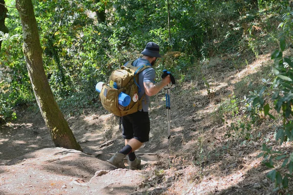 Turist med en ryggsäck på en skogsstig — Stockfoto