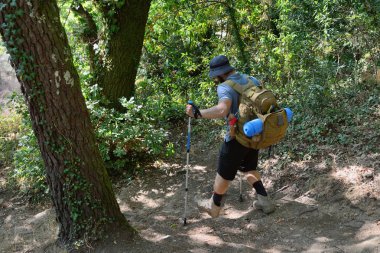 Orman yolunda sırt çantalı bir turist.