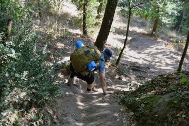 Orman yolunda sırt çantalı bir turist.