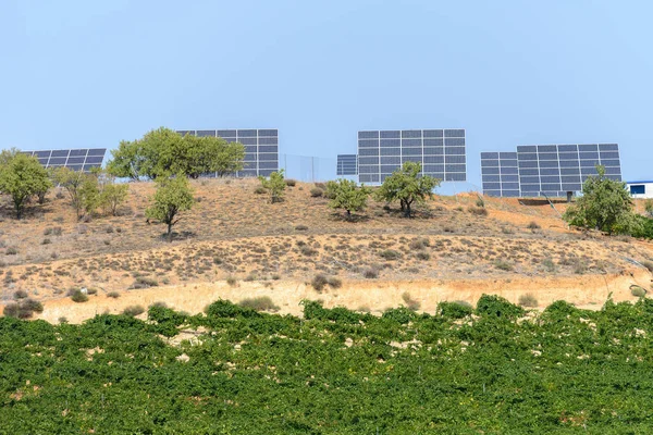 Сонячні панелі на полі — стокове фото