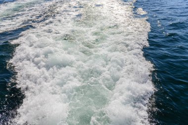 deniz yüzeyinde su sörf