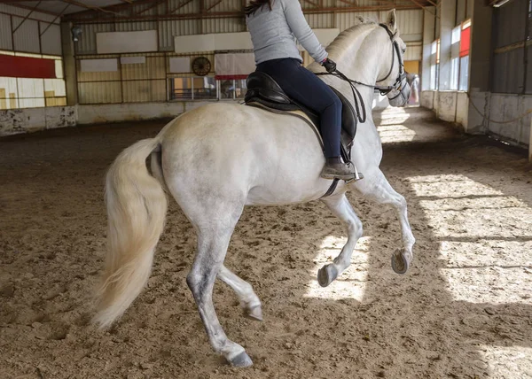 woman is riding a horse on a training ground