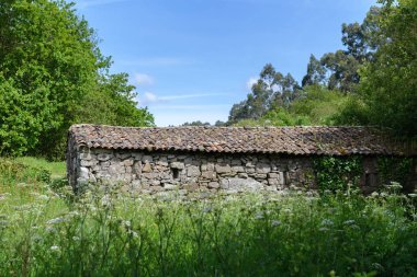 Ormandaki eski taş ev.