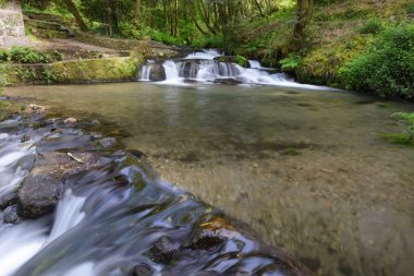 şelale orman Nehri üzerinde