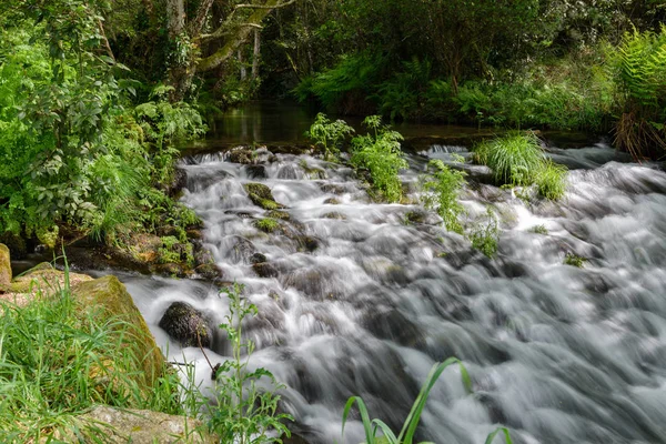 Wasserfall Auf Einem Waldfluss — Stockfoto