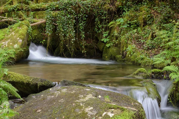 Wasserfall Auf Einem Waldfluss — Stockfoto