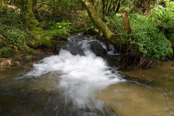 Wasserfall Auf Einem Waldfluss — Stockfoto