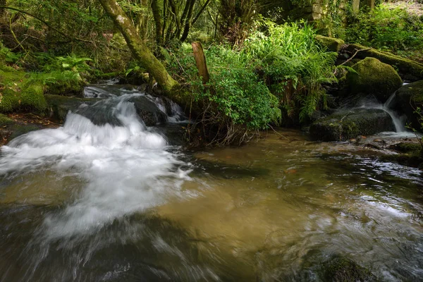 Cascada Río Del Bosque — Foto de Stock