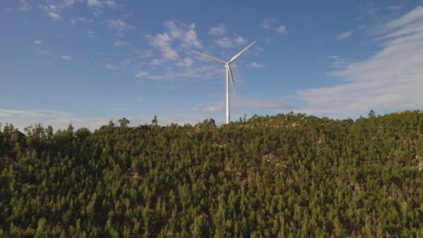 山顶上覆盖着森林的风力涡轮机 — 图库视频影像
