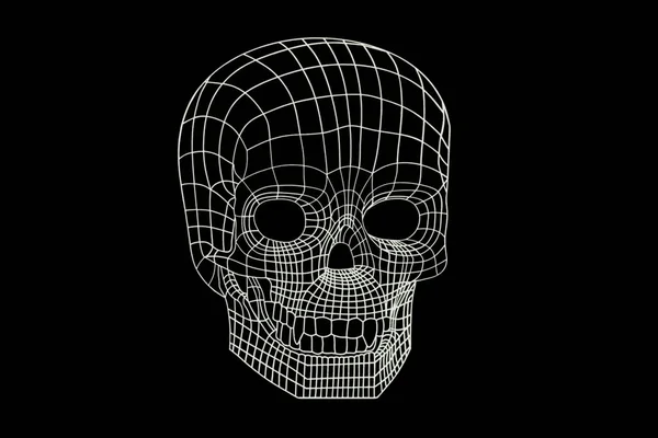 human skull from luminous lines isolated on a black background