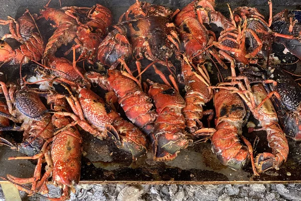 Lobster on the grill close up — Stock Photo, Image