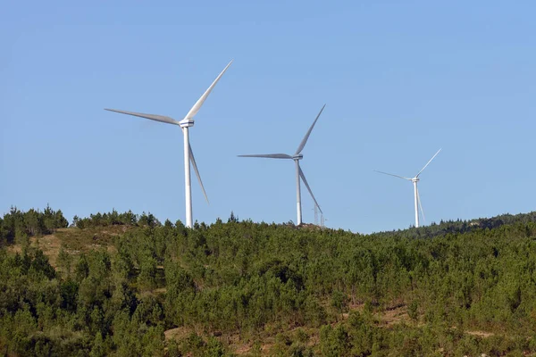 Windturbines op een berg tussen de groene tegen een blauwe lucht — Stockfoto