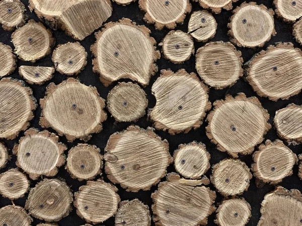 Ends of logs stacked in piles background texture — Stock Image Ends of logs stacked in piles background texture Royalty Free Stock Images