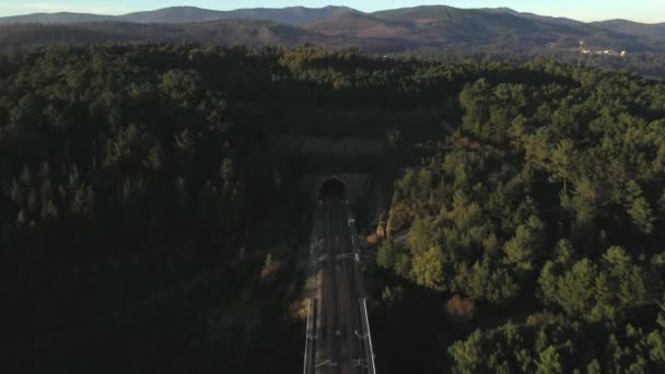 Ponte Ferroviária Passando Por Túnel Nas Montanhas Vista Aérea — Vídeo de Stock