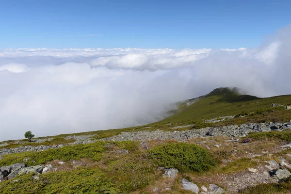 Vallée de montagne, panorama, Los Ancares, Espagne — Photo