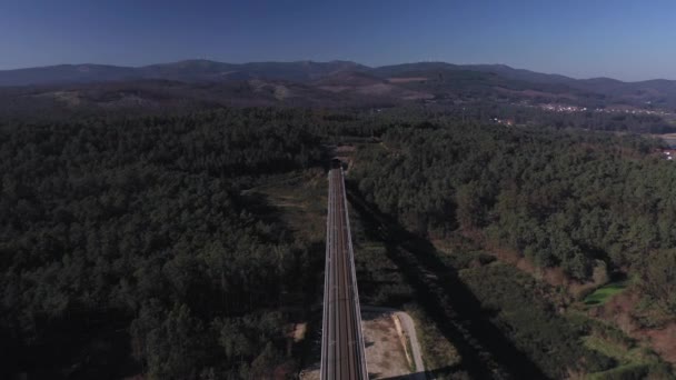 Demiryolu Köprüsü Dağlardaki Bir Tünelden Geçiyor Dan Havadan Görünüyor — Stok video